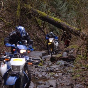 April 1 Spuzzum American Creek Nickelmine