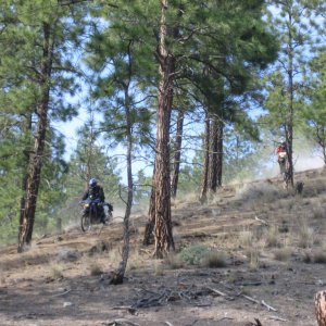 Crazy crackers doing hill climbs