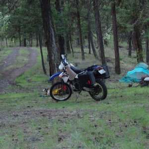 Campsite near Lytton