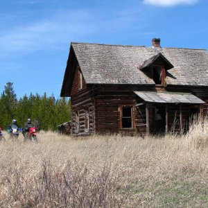 Douglas Lake homestead