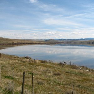 Douglas Lake