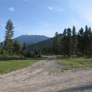 Wildhorse FSR