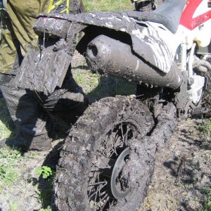 Dirty Husky