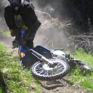 ...and down