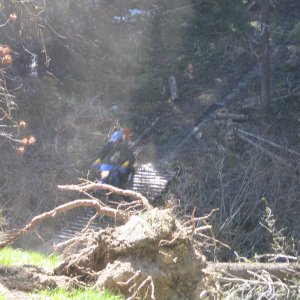 Neil crosses bridge