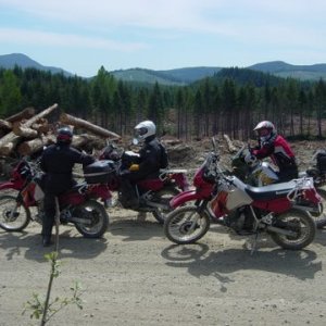 spring_2007_066