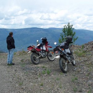 The KLRs