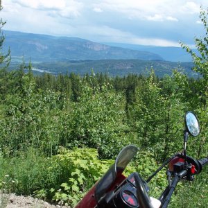 Looking to Enderby