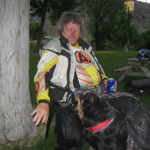Tom picking on the dog