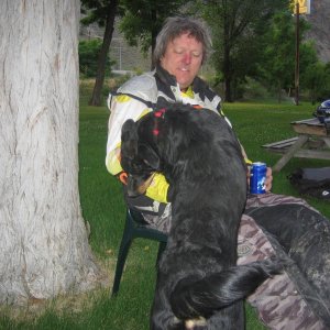 The dog picking on Tom