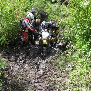 Lots of help
