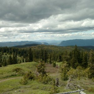 IMGP1661