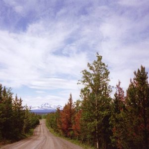 Caribou Road