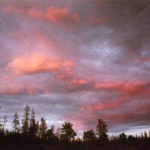 Caribou Sunset