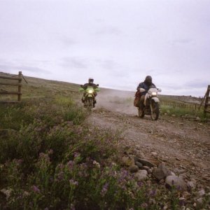 Derrick & Pete & the Gang Ranch