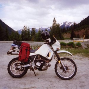 Petes KLR
