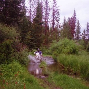 Water Hole
