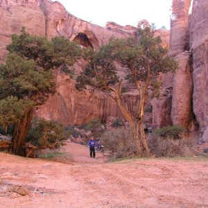 P1010041