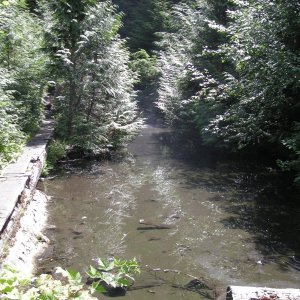 Clear creek Hot springs