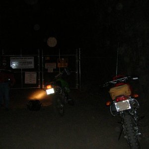 POACHING_MYRA_TRESTLES