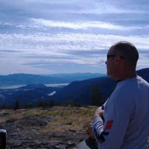 blue_grouse_2