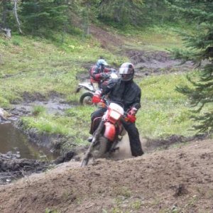 Whipsaw Day Trip 2007