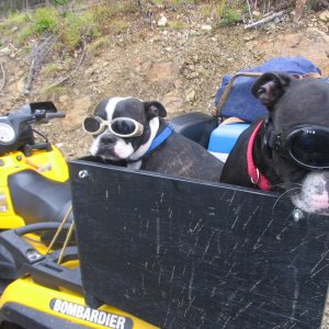 baldy_mtn_sept_3_2007_047