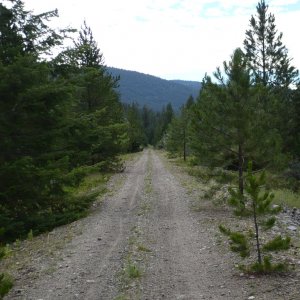 P1000091
