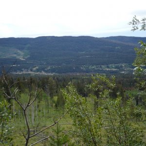 P1000064