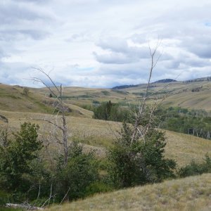 P10000651