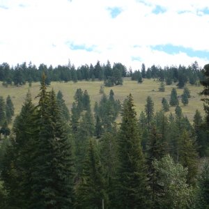 P1000097