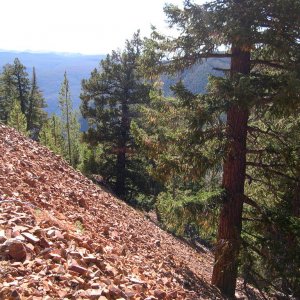 Ashnola_Dualsport_07_008