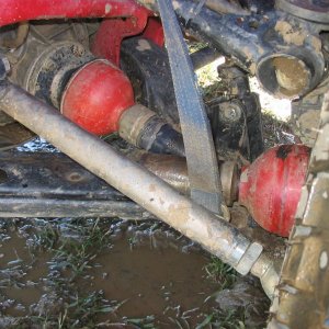 Races_sept_9_2007_170