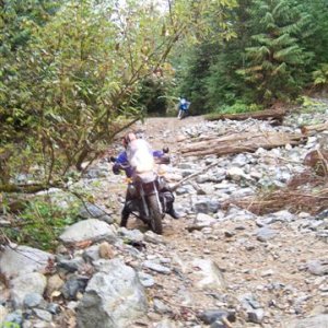 Hawkin_s_Pickle_September_16_2007_004