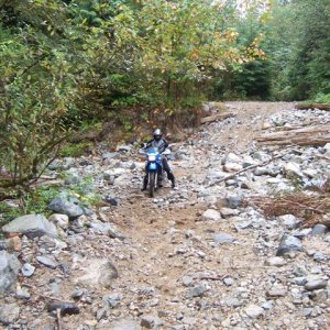 Hawkin_s_Pickle_September_16_2007_008