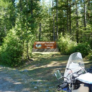 Carmanah (old growth forest)