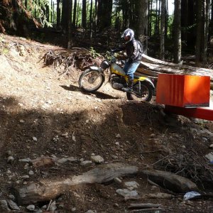 logging gate