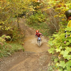 Timberlands Family Ride