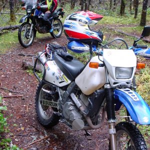 Pam's First Single Track