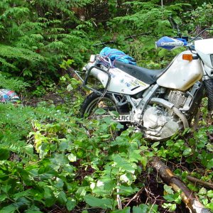 Crash behind S. Shawnigan