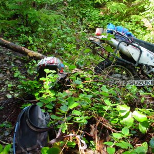 S. Shawnigan OOOPs