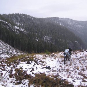 IMG_0351