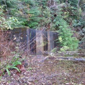 Yreka Ruins