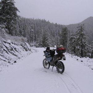 IMG_0439