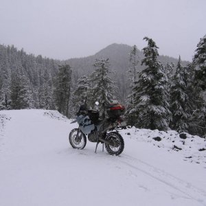 IMG_0440
