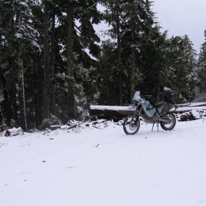 IMG_0435