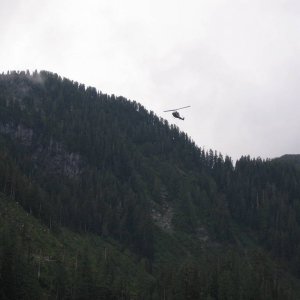 Heli logging Nomash