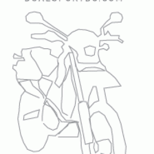 Dualsport_logo4
