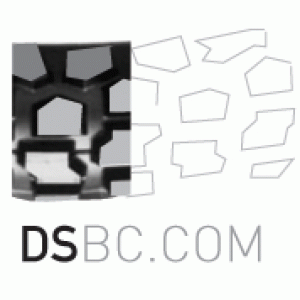 Dualsport_logo7_for_fun