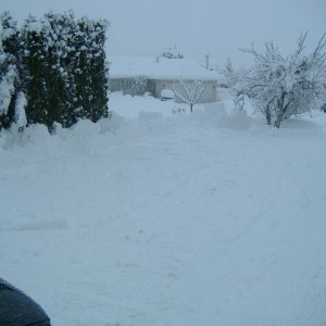 Dec_1_snow_day_020